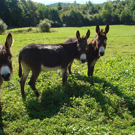 L'Oree Des Bois Dommartin-Les-Cuiseaux Bagian luar foto