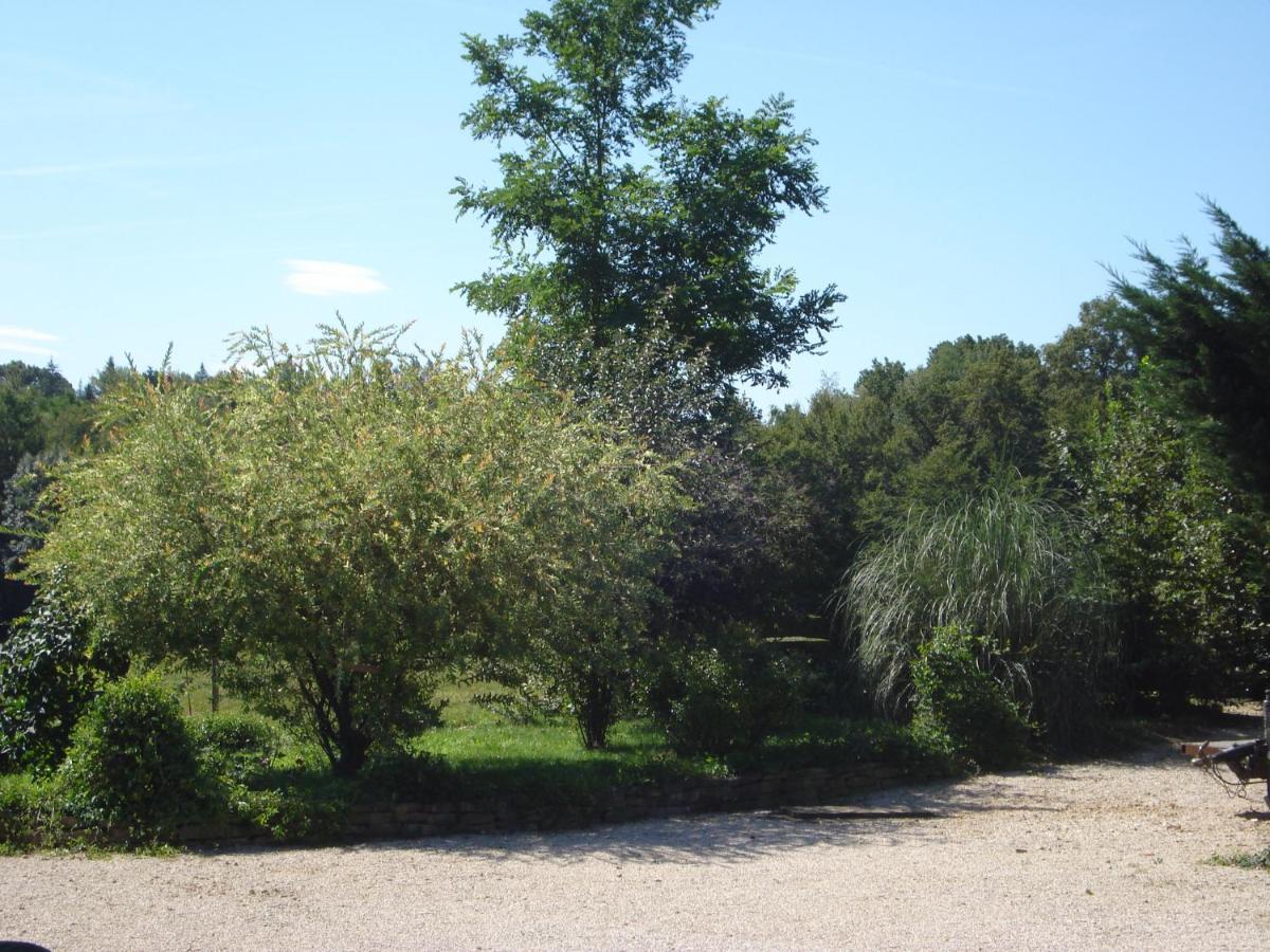 L'Oree Des Bois Dommartin-Les-Cuiseaux Bagian luar foto